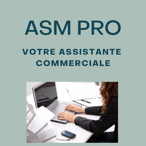 ASM PRO Assistante commerciale indépendante externalisée Métropole Lilloise